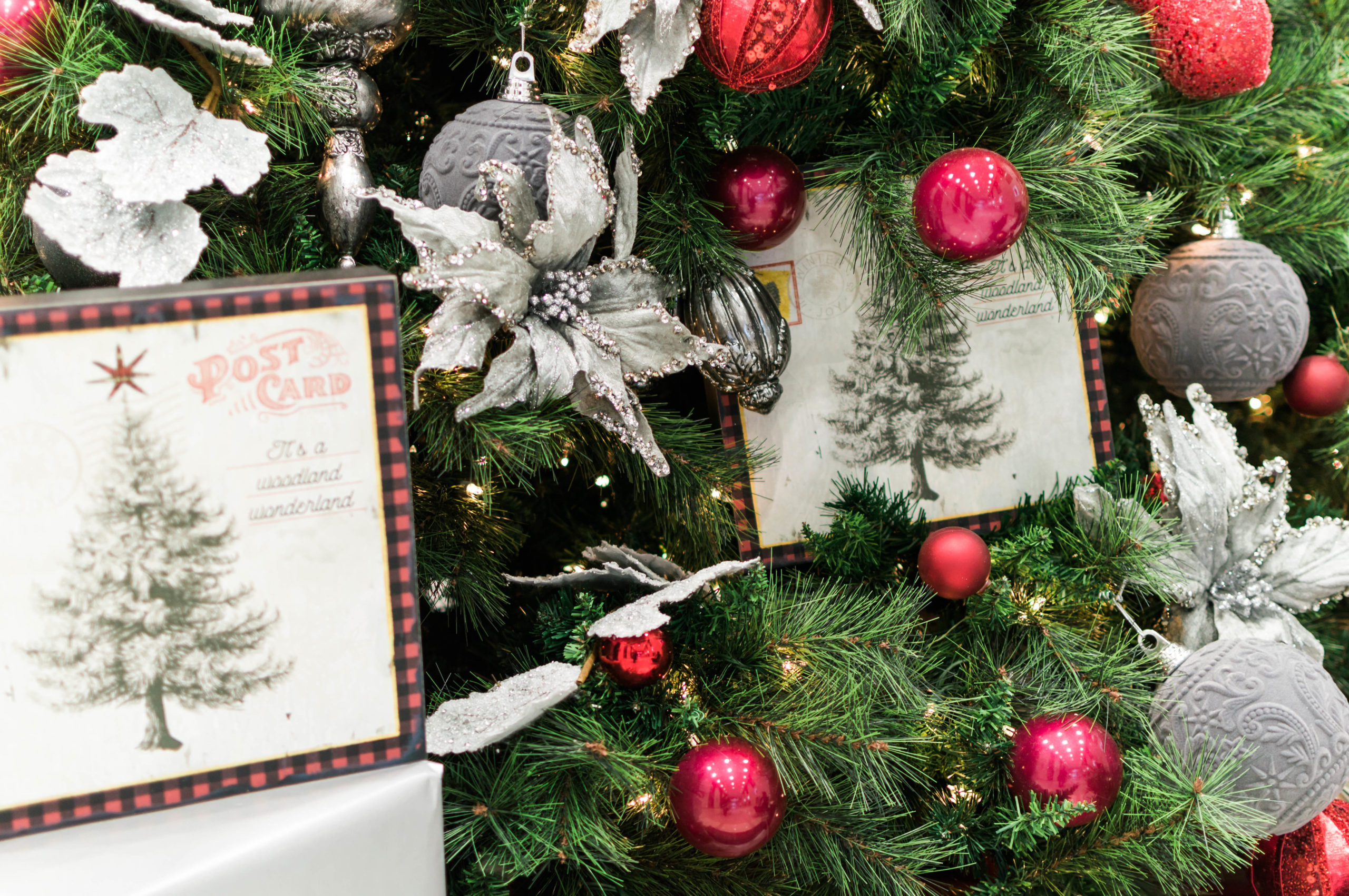 nadinede leon holiday deor - holidat decorating - order Christmas decorations - DIY holiday decorations