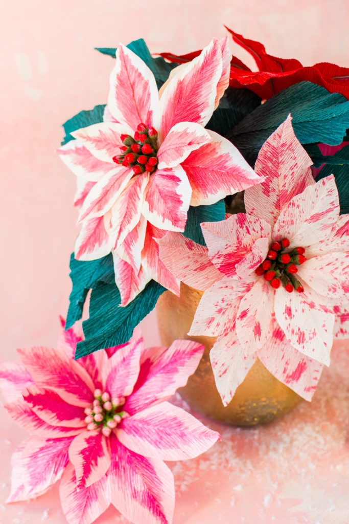 Poinsettia flowers - poinsettia Christmas decor - Christmas flower decorations